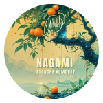 Bouteille de Nagami, bière blanche artisanale au kumquat à 4,1°